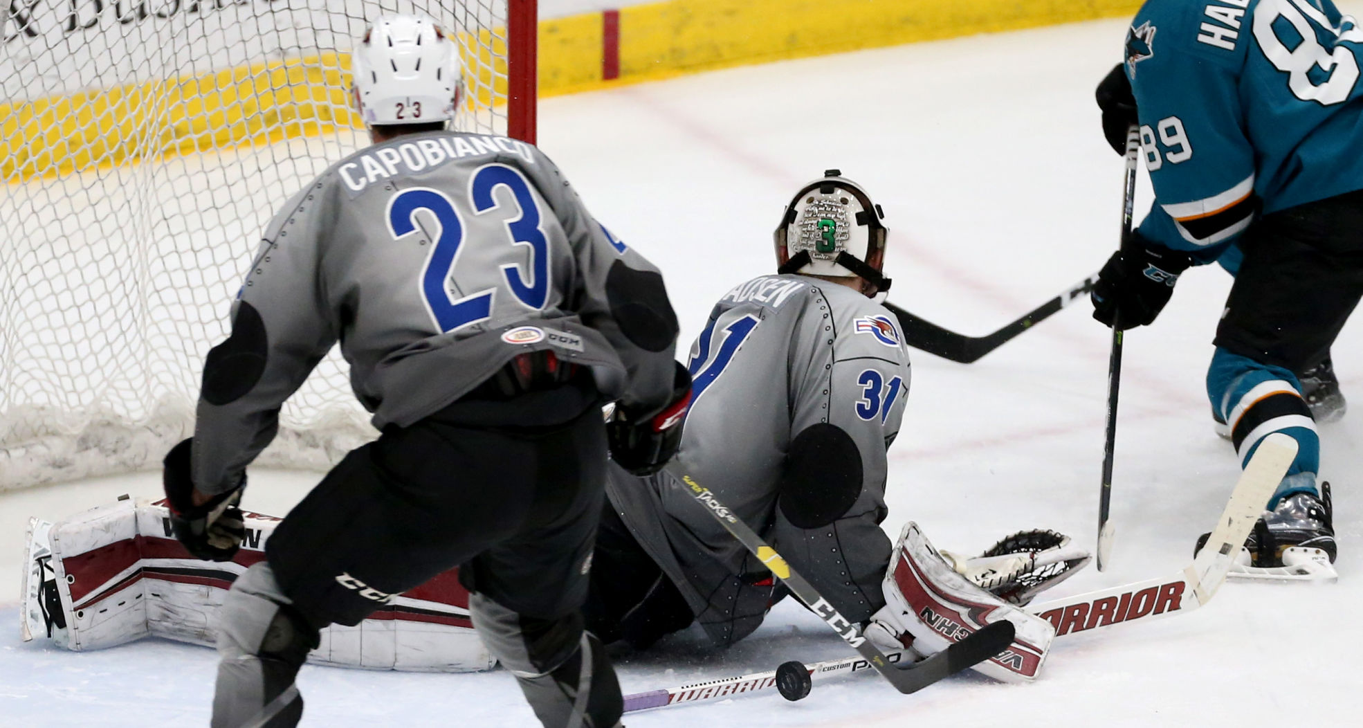 Roadrunners vs San Jose
